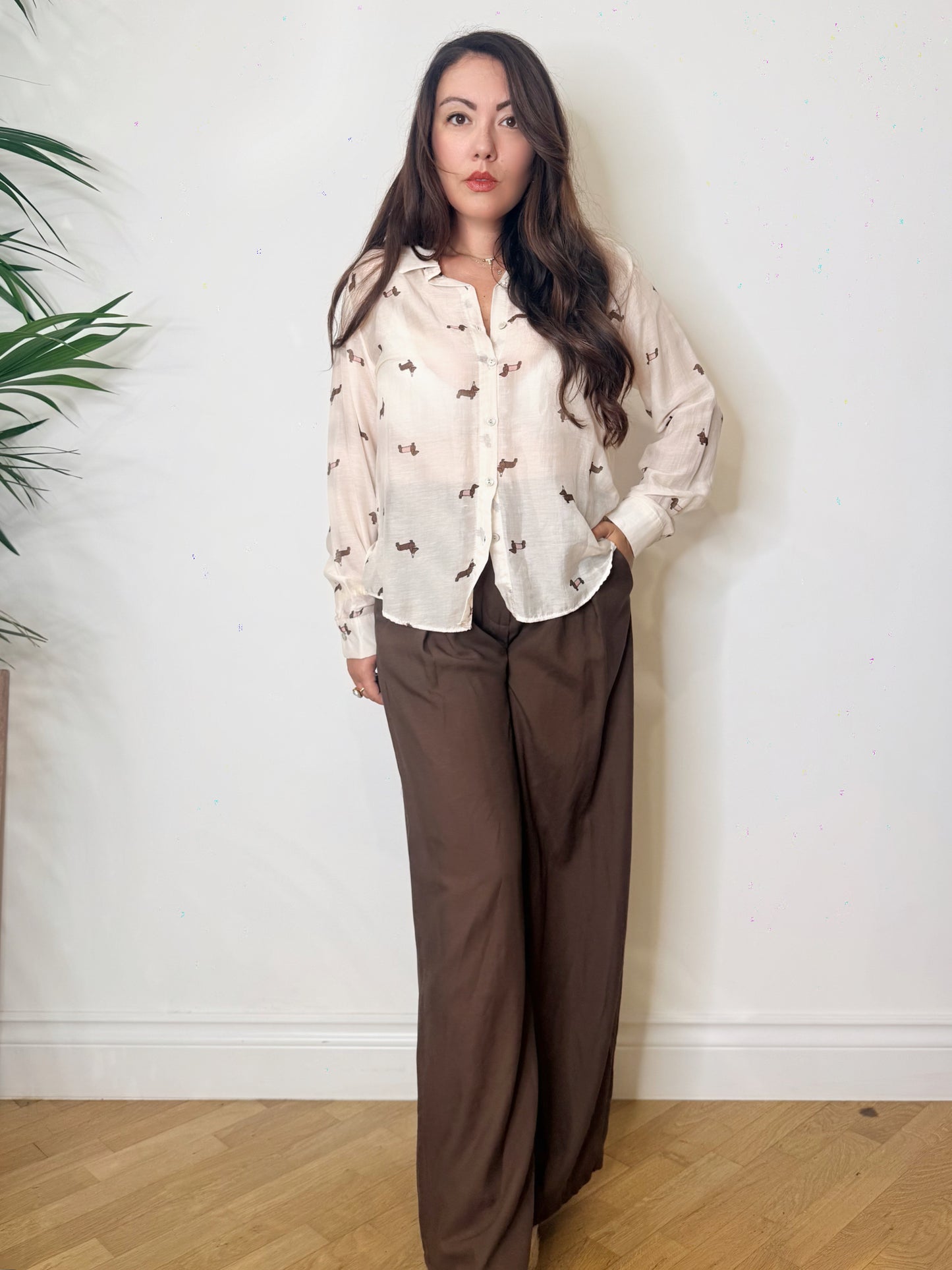 Camicia misto seta bassotti