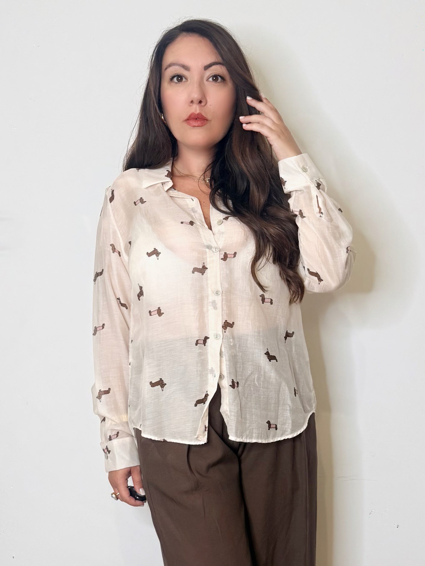 Camicia misto seta bassotti