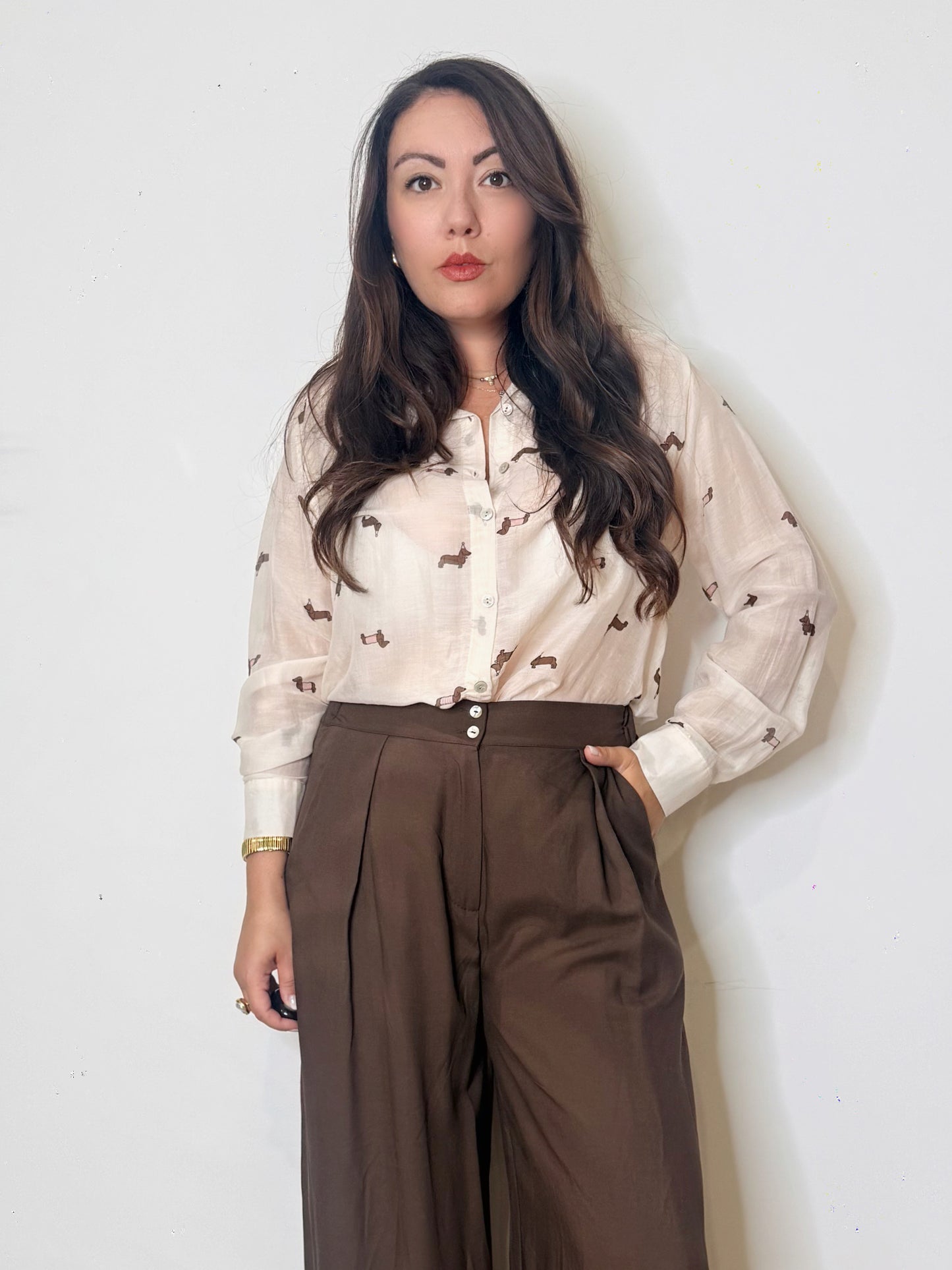 Camicia misto seta bassotti