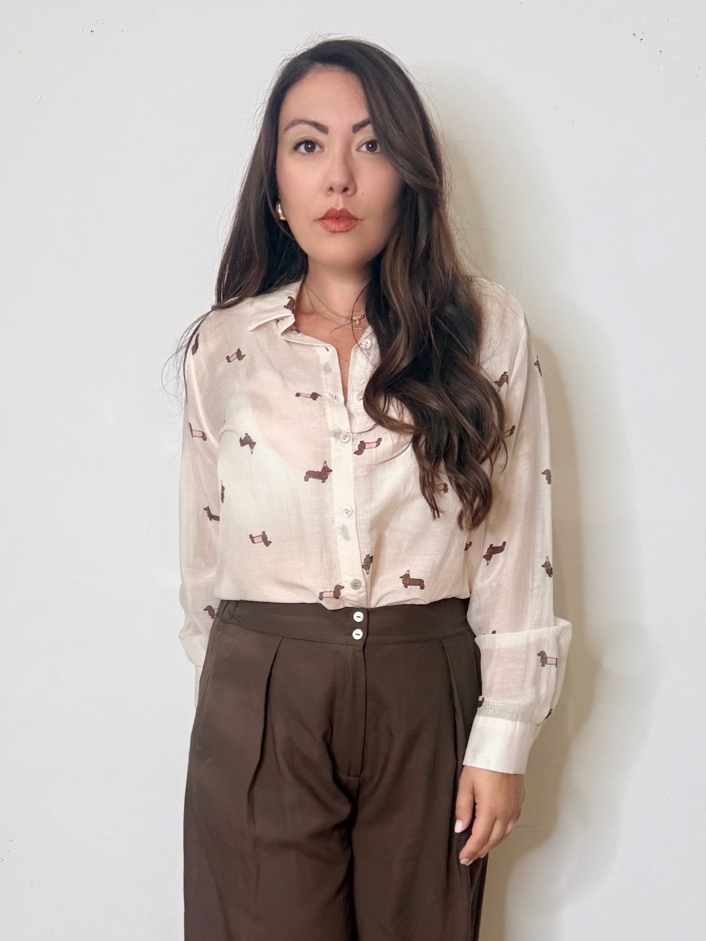 Camicia misto seta bassotti