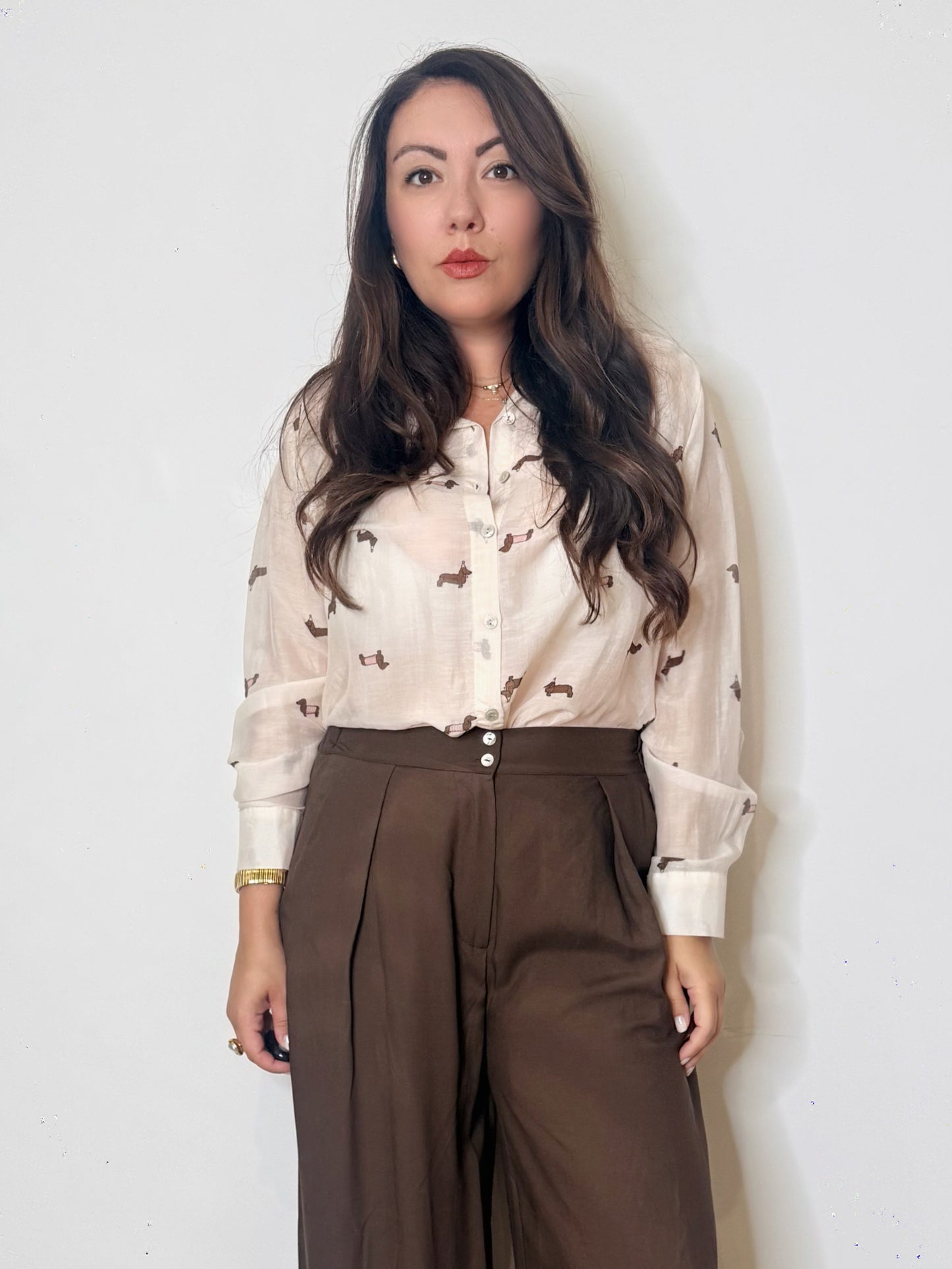 Camicia misto seta bassotti