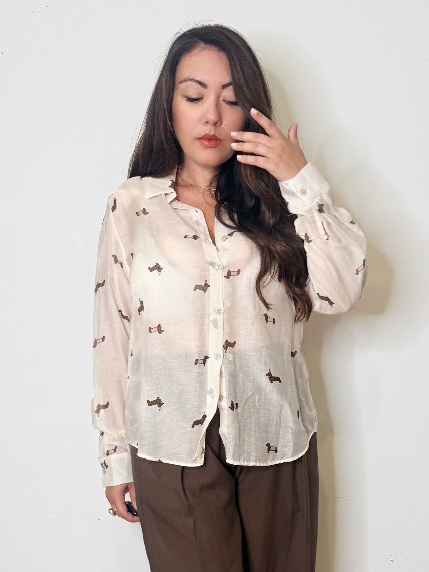 Camicia misto seta bassotti